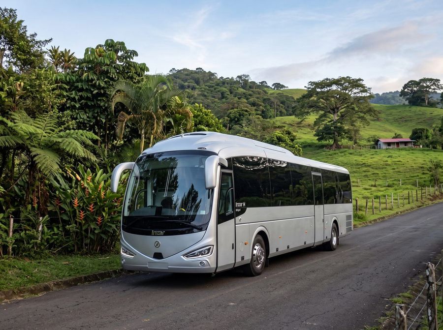 Buses